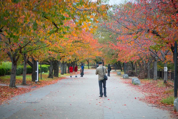 Osaka Japan November 2018 Osaka Castle Park Autumn Season Osaka — Stock Photo, Image