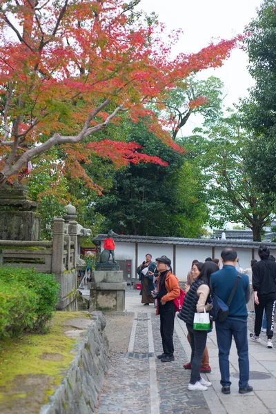 Kyoto Japón Septiembre 2018 Paseo Turístico Ver Hojas Arce Rojo —  Fotos de Stock