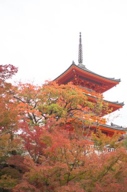 Japonya, Kyoto 'daki Kiyomizu-dera Tapınağı' ndaki güzel Pagoda.