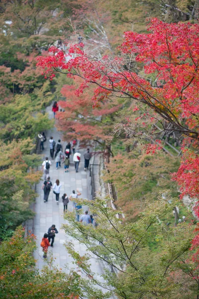 京都の秋の清水寺散策 — ストック写真