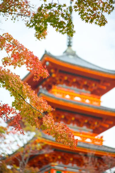 Piękna Pagoda Świątyni Kiyomizu Dera Kioto Japonia — Zdjęcie stockowe