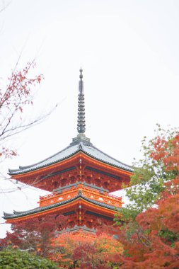Japonya, Kyoto 'daki Kiyomizu-dera Tapınağı' ndaki güzel Pagoda.