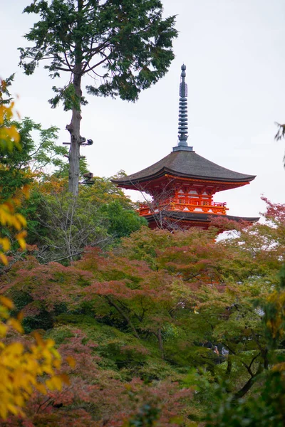 Piękna Pagoda Świątyni Kiyomizu Dera Kioto Japonia — Zdjęcie stockowe