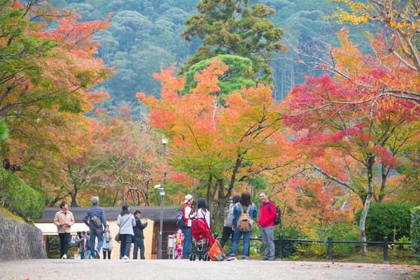 京都府 2018年11月12日 京都の秋の清水寺散策 — ストック写真