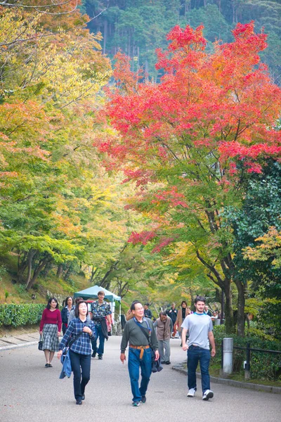 京都府 2018年11月12日 京都の秋の清水寺散策 — ストック写真