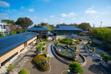 Omiya, Saitama, Japonya - 10 Ekim 2018: Japon Omiya bonsai müzesindeki Bonsai ağacı Saitama, Japonya