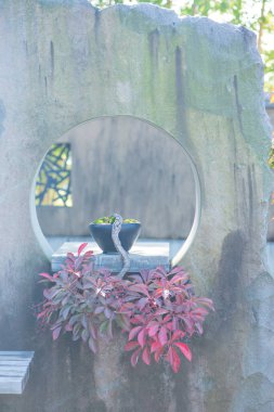 Japonya Saitama 'daki Omiya bonsai köyündeki Japon bonsai ağacı.