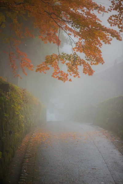 Image Floue Contenant Brouillard Érable Automne Contient Brouillard Nikko Japon — Photo