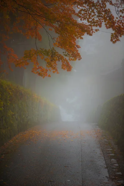 Waas Foto Bevat Mist Van Esdoorn Boom Het Najaar Seizoen — Stockfoto