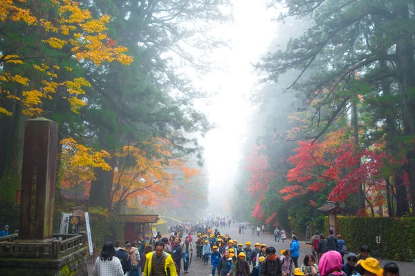 Nikko Japon Novembre 2018 Visite Guidée Automne Brouillard Sanctuaire Toshogu — Photo