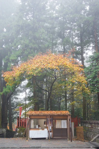 Nikko Japon Novembre 2018 Sanctuaire Toshogu Avec Site Patrimoine Mondial — Photo