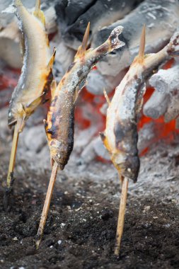 Kömür, Ayu balığını tuzlu ızgara yaptı. Nikko, Japonya 'daki Kegon şelalesinde geleneksel Japon sokak yemekleri.