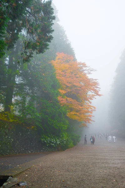 Nikko Japan November 2018 Tourist Walking Fog See Maple Nikko — Stock Photo, Image