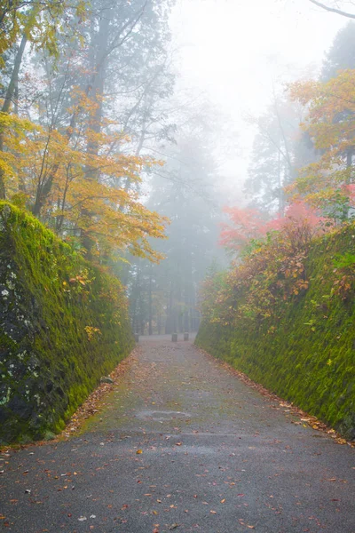 Φθινοπωρινή Περίοδος Περιέχει Ομίχλη Στο Nikko Ιαπωνία — Φωτογραφία Αρχείου