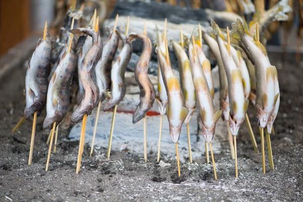 炭火用盐烤鱼苗 日本Nikko Kegon瀑布的传统日本街头食品 — 图库照片