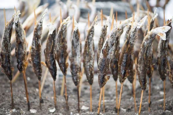 炭火用盐烤鱼苗 日本Nikko Kegon瀑布的传统日本街头食品 — 图库照片