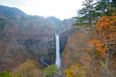 Japonya 'nın Nikko şehrinde sonbahar mevsiminde Chuzenji Gölü' nden Kegon Şelaleleri.
