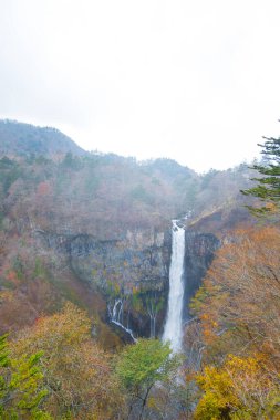 Japonya 'nın Nikko şehrinde sonbahar mevsiminde Chuzenji Gölü' nden Kegon Şelaleleri.