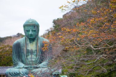 Kızıl izin ve bulanıklık Kamakura Daibutsu Japonya 'nın Kamakura kentindeki Kotoku-in tapınağının ünlü simgesidir.