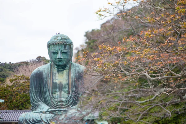 Kamakura Daibutsu Famoso Marco Localizado Templo Kotoku Kamakura Japão — Fotografia de Stock