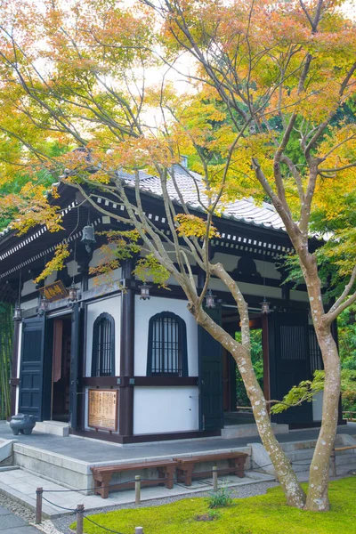 Kamakura Japan November 2018 Kyozo Haze Dera Tempel Hase Kannon — Stockfoto