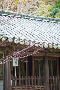 Japonya 'nın Kotoku-in tapınağındaki eski usul saçakları Japonya' nın Kamakura kentinin ünlü simgesidir.