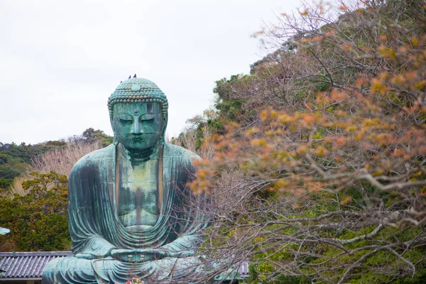 Kamakura Daibutsu Det Berömda Landmärke Som Ligger Vid Kotoku Temple — Stockfoto