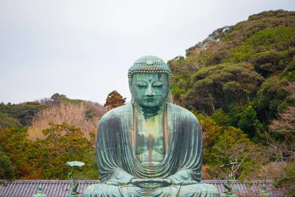 Giant Buddha Lub Kamakura Daibutsu Jest Słynnym Zabytkiem Znajduje Się — Zdjęcie stockowe
