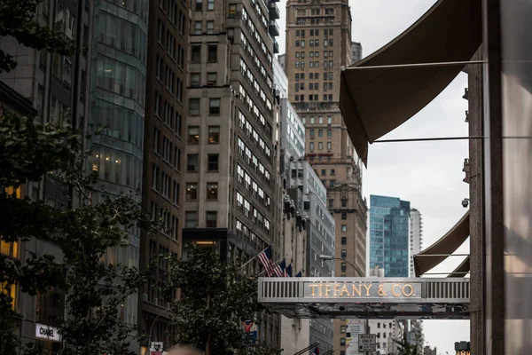 Tyffany ve co mağaza önünde New York'ta