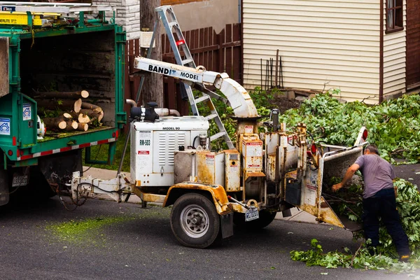 Máquina trituradora de árvores em ação — Fotografia de Stock
