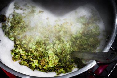 Homebrewer'ın kaynar su ısıtıcısı brülör üzerinde 