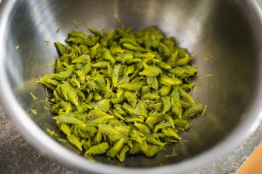 Bir bira tarifi için bir kaseye taze ipuçları