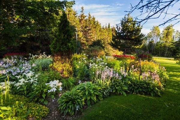 Vackra gårdsplanen trädgård — Stockfoto