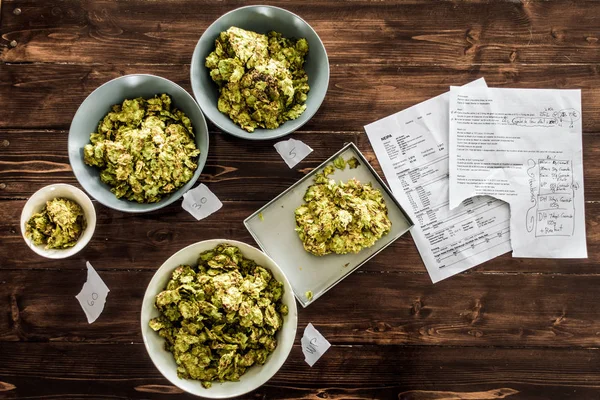 Bierrezept und ganze getrocknete Hopfen — Stockfoto