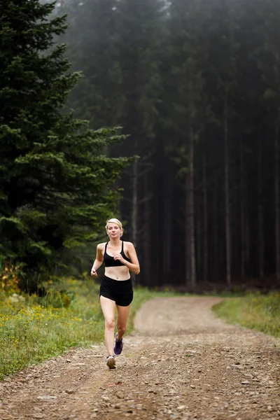 Jogger Treinamento na Floresta no início da manhã — Fotografia de Stock
