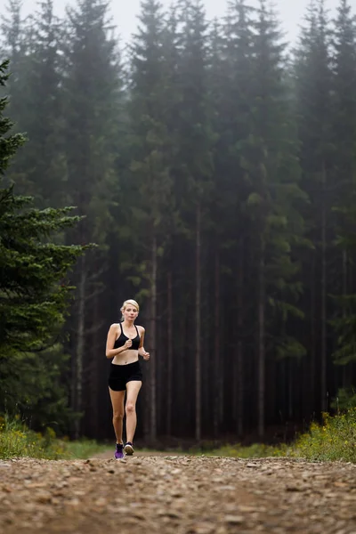一大早，我在森林里慢跑训练 — 图库照片