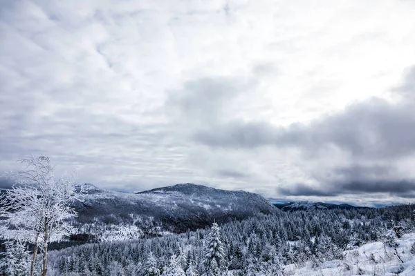 从山顶在加拿大冬季景观 — 图库照片