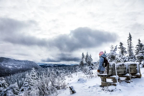 Зимний пейзаж и обсерватория с вершины горы — стоковое фото