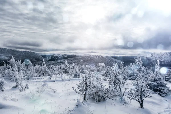 Paisagem de Inverno do topo da montanha no Canadá — Fotografia de Stock