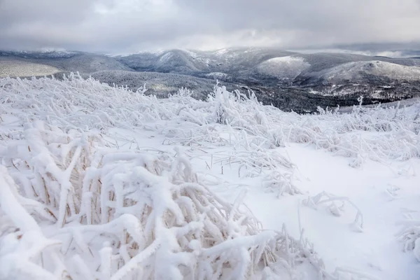 Зимний пейзаж с вершины горы в Канаде — стоковое фото