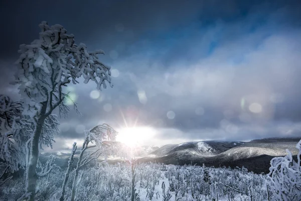 Paisagem de Inverno do topo da montanha no Canadá — Fotografia de Stock