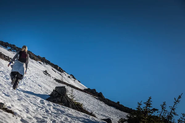 Woman Reaching the Top of Richardson Mountain — Stock Photo, Image