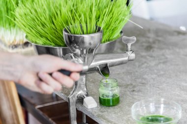 Mutfak tezgah eylem içinde buğday çimi çıkarımı 
