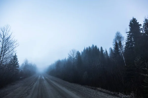 Rural Road in Forest during Winter — Stock Photo, Image