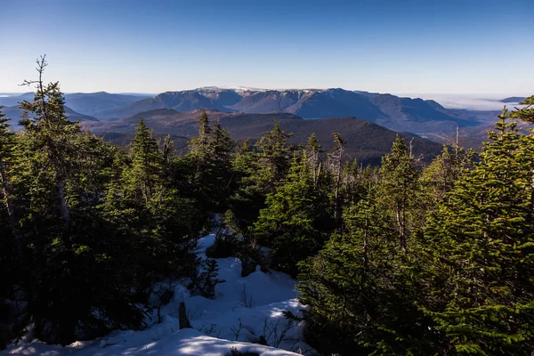 Orman yolundaki Hiking yüksek görünümü — Stok fotoğraf