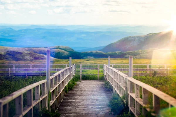 Landschaft Blick auf einen Sumpf von einem Holzbalkon — Stockfoto