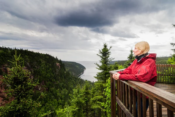 Kvinne som ser på naturen fra et observasjonstårn – stockfoto