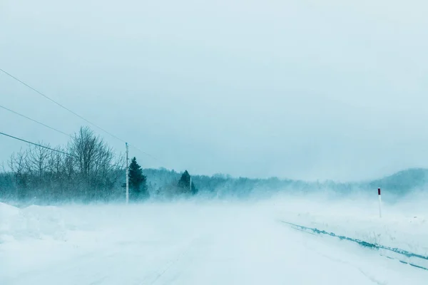 Tempête de neige folle et poudrerie sur la route — Photo