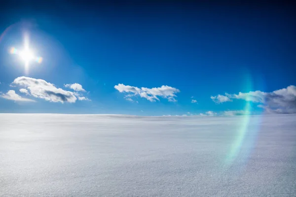 Дикое большое замерзшее поле зимой — стоковое фото