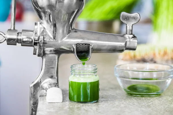 Extraction of Wheatgrass in Action on the Kitchen Countertop — Stock Photo, Image